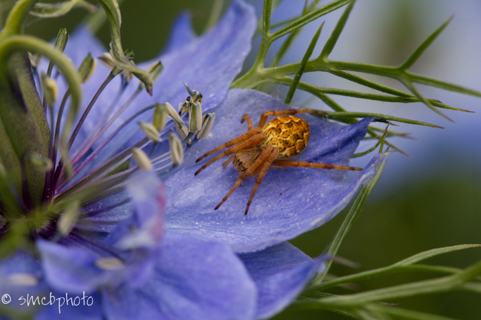 20111122-221111_8042