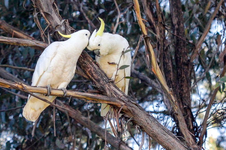 20110925-250911_4280p copy