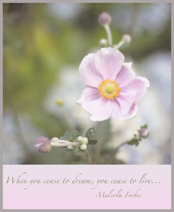 20130212-_MG_9109-Edit-Edit